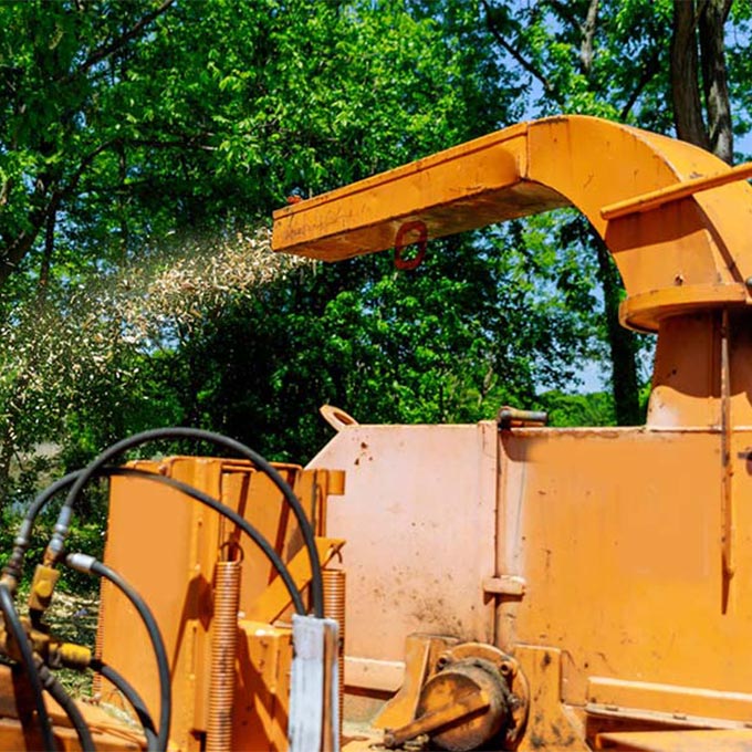 L & R Tree Removal And Landscape LLC Tree Expert